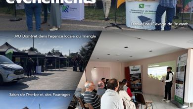 Retour sur les derniers events de Triangle Énergie Retour sur les derniers events de Triangle Énergie
