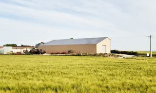 Témoignage d'une réalisation d'hangar agricole solaire chez Monsieur Thibaut dans la Somme