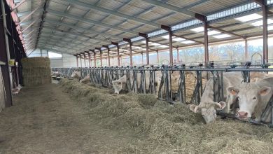 Comprendre la stabulation photovoltaïque